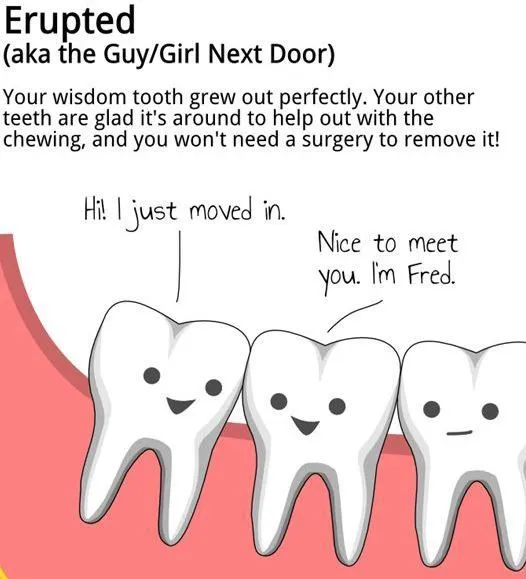 Fun Facts About Wisdom Teeth